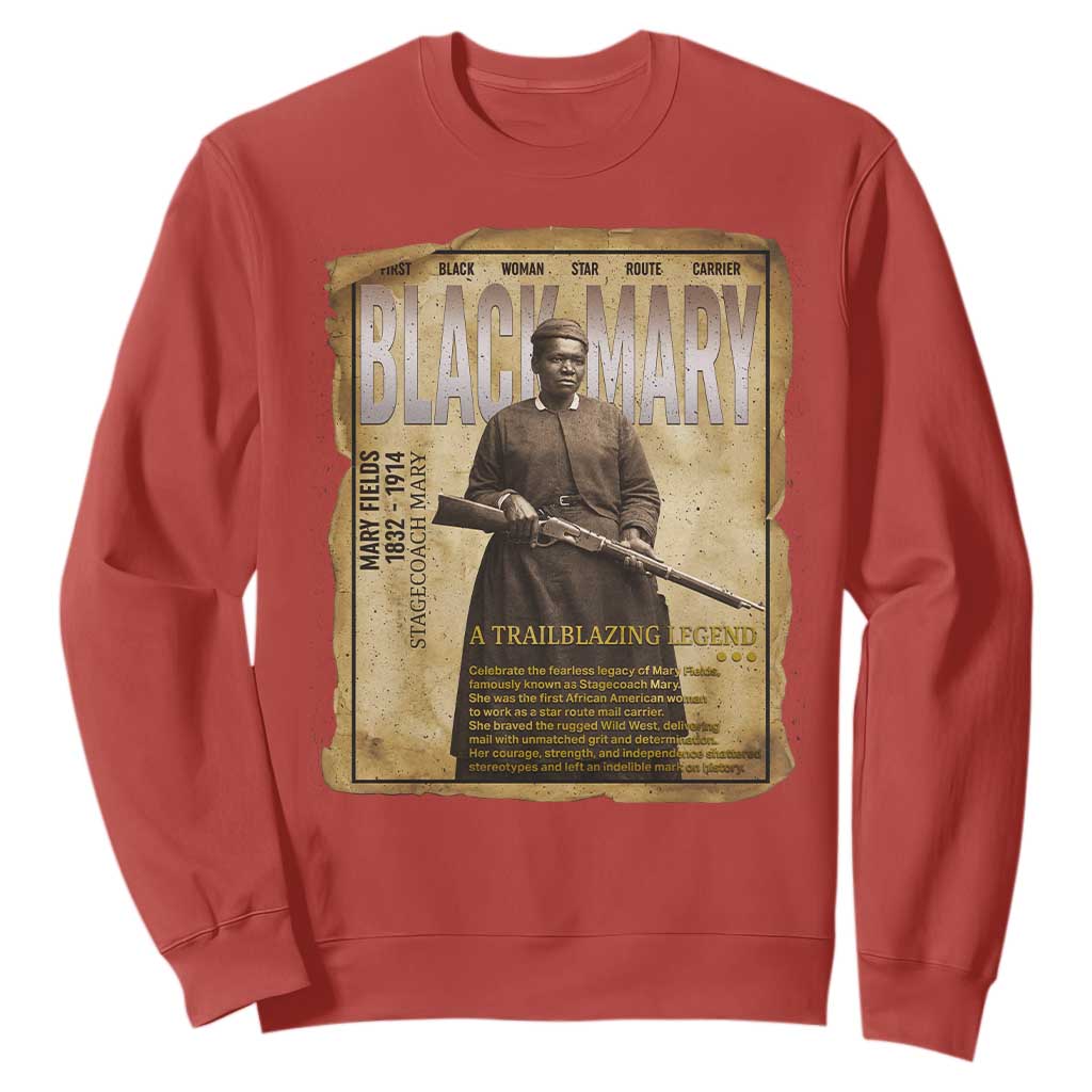 Vintage Newspaper Stagecoach Mary Fields Mail Carrier Sweatshirt Black History Legend Gift